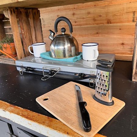 Geodesic Dome Glamping Hotell Llanidloes Exteriör bild