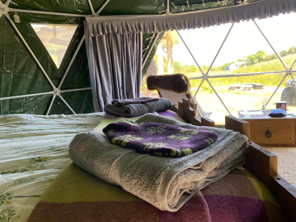 Geodesic Dome Glamping Hotell Llanidloes Exteriör bild