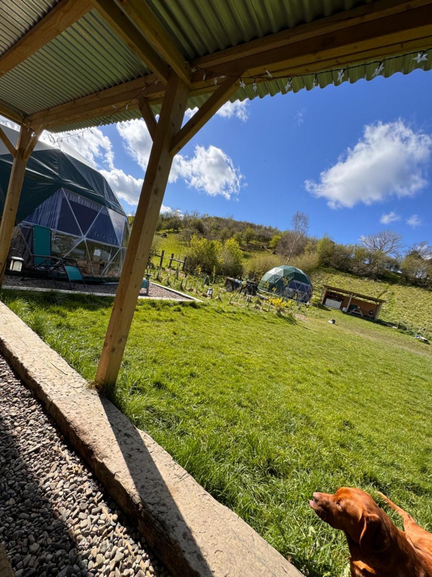 Geodesic Dome Glamping Hotell Llanidloes Exteriör bild